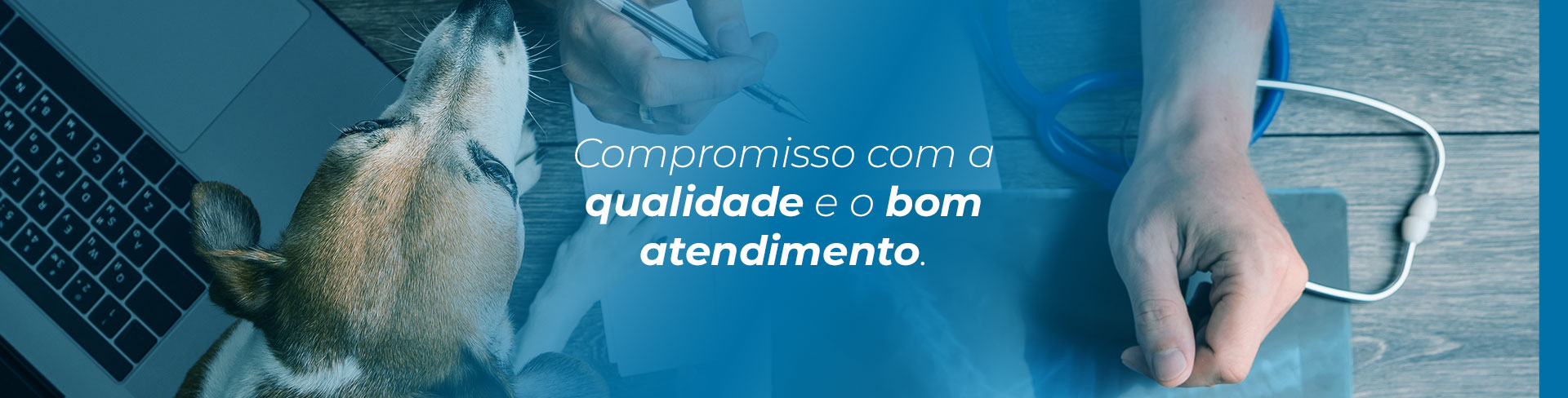 Primeiro Slide